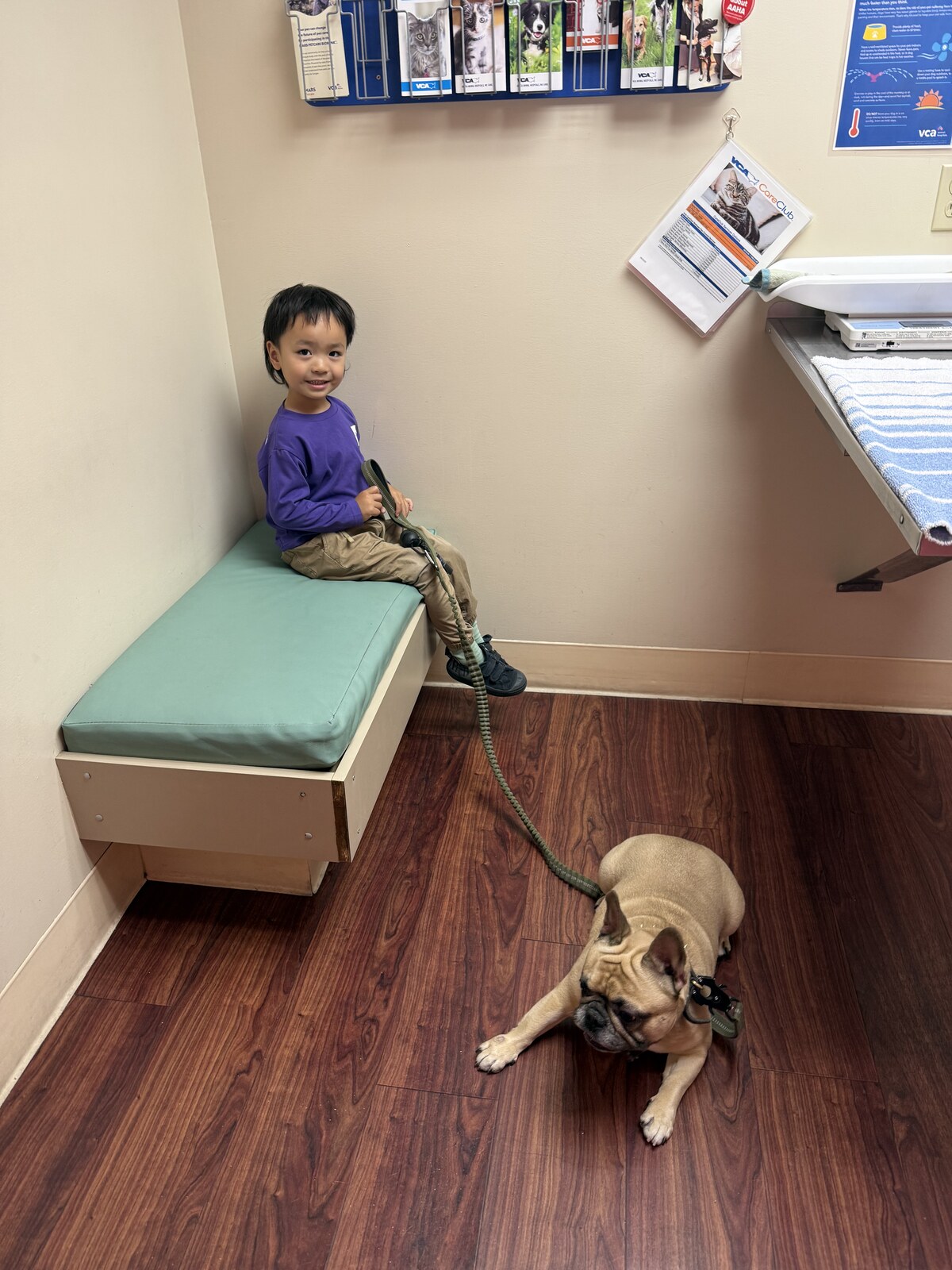 Jichang sitting with his dog brother in an animal hospital exam room after a checkup